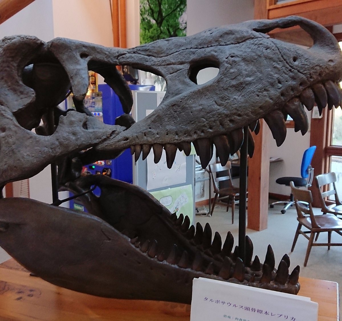 💎 돌과 겐지 박물관 (이시토겐지노뮤지아무) 이미지 1